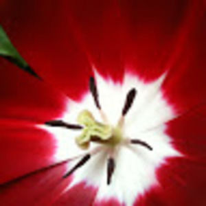 Meet your Posher, Sheri